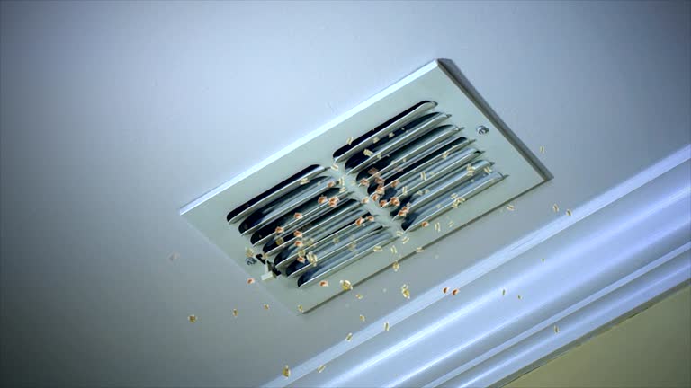 Best Affordable HVAC Duct Cleaning  in Moravian Falls, NC
