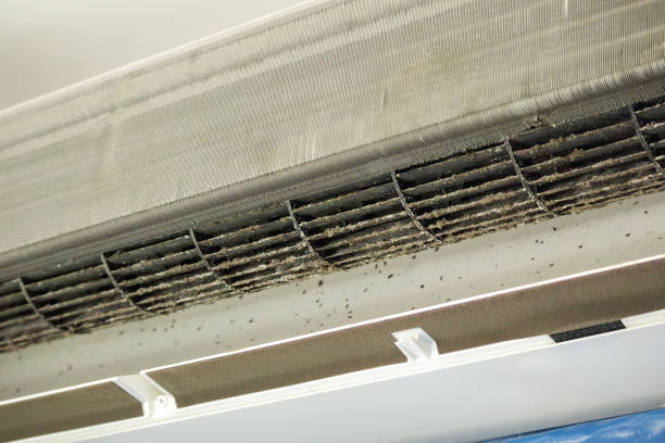 Best HVAC System Cleaning  in Moravian Falls, NC